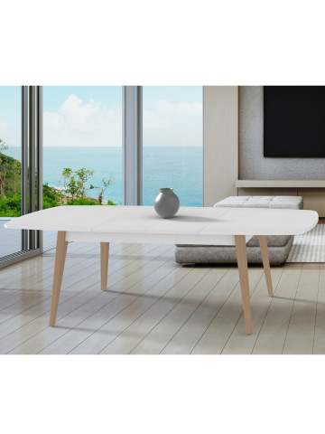 Tavolo rettangolare allungabile 160/240x90 cm MERCURIO trend